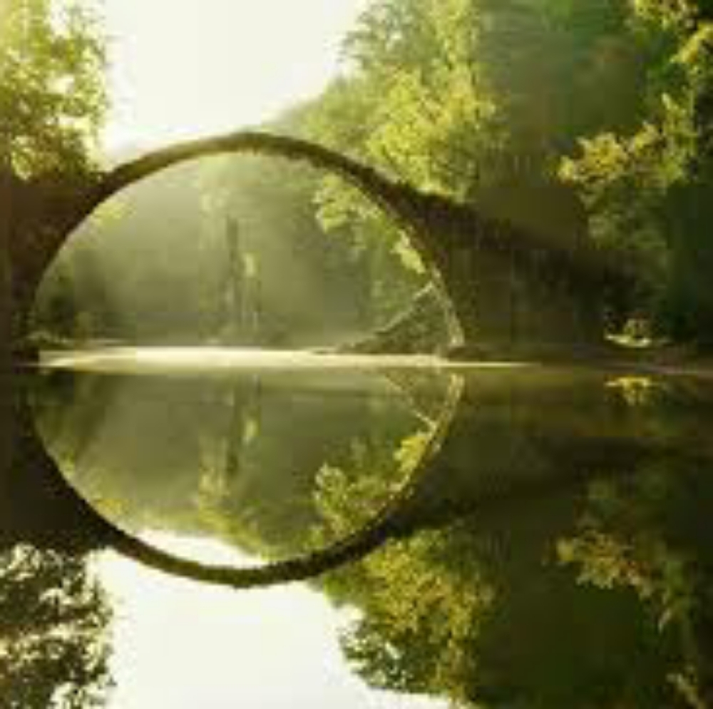 Meet your Posher, Ani